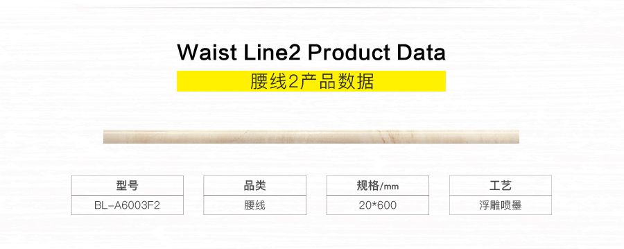 衛(wèi)生間內(nèi)墻磚 金斯敦