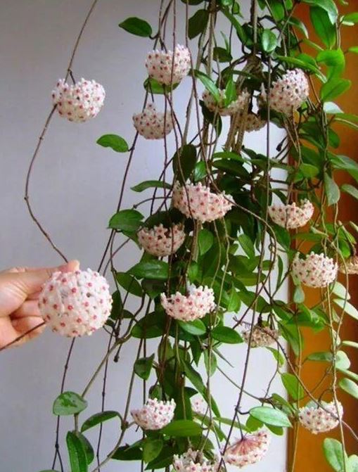 遼陽裝修設(shè)計(jì)